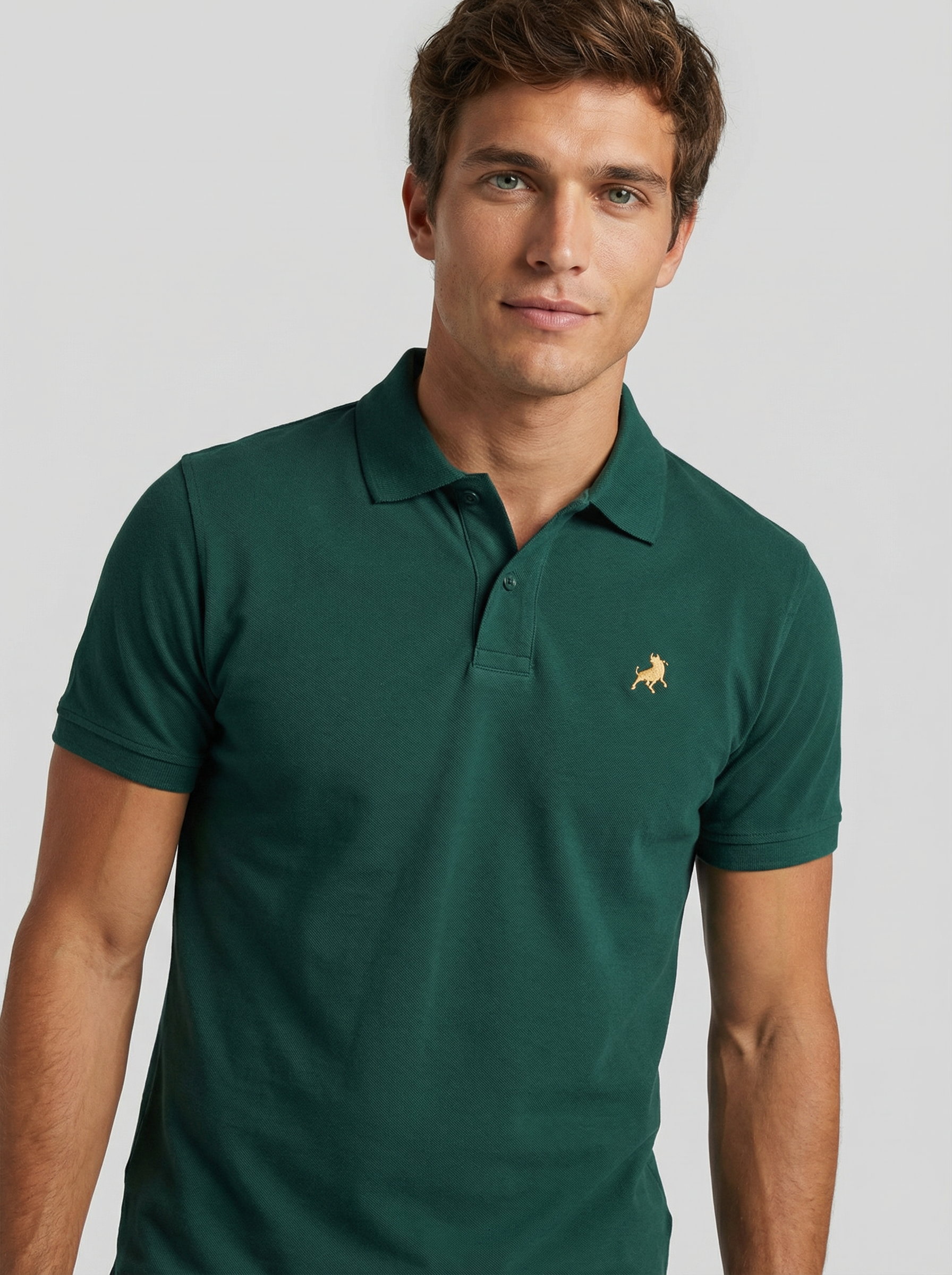 Pólo Filipo Classic 479 - Verde